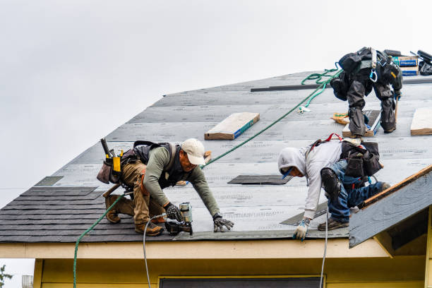 Professional Roof Replacement technician working in Pioneer, OH